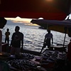 Kota Kinabalu