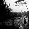 Nur walking on the path