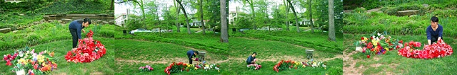 Mourning Cart II