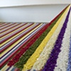 Repose Installation View