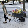 Mourning Cart III