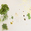A Requiem in the Garden