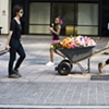 Mourning Cart III