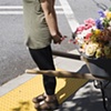 Mourning Cart III