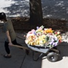 Mourning Cart III