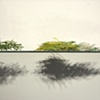 A Requiem in the Garden