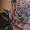 Black and Grey Rose