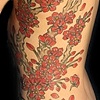 Cherry Blossoms on Branch
