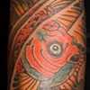 Goldfish and Lotus Flower with Water