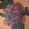 Peony Flower On Shoulder