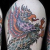 Griffin