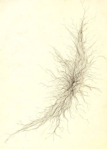Varicose