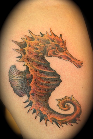 seahorse 
