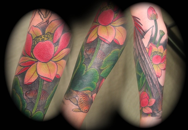 Lotus and goldfish