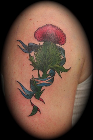 Thistle 