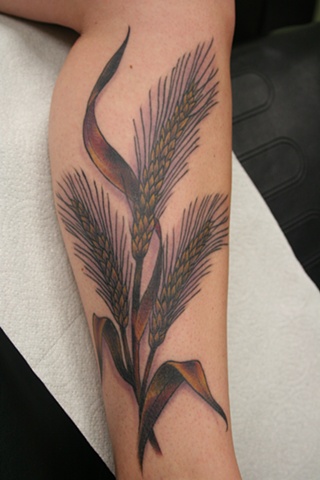 Wheat