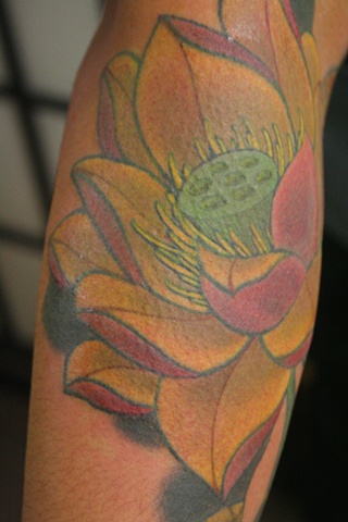 Lotus