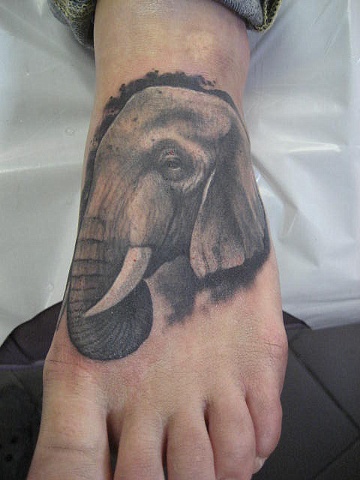 elephoot
