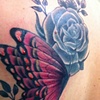 Roses and Butterfly