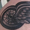 redwings