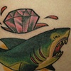 Belle's Sharky