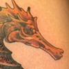 seahorse 
