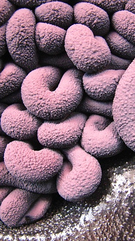 Sneak Peak shot�

"Nathan Prouty: Piles & Countertops"
January 8th @ The Clay Studio