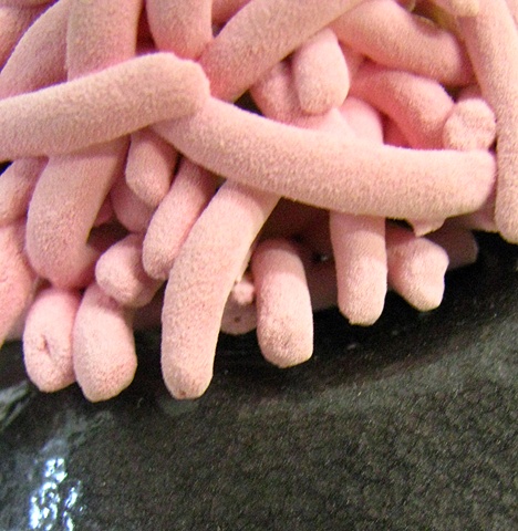 Sneak Peak shot�

"Nathan Prouty: Piles & Countertops"
January 8th @ The Clay Studio