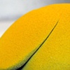 Sneak Peak shot

"Nathan Prouty: Piles & Countertops"
January 8th @ The Clay Studio