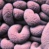Sneak Peak shot

"Nathan Prouty: Piles & Countertops"
January 8th @ The Clay Studio
