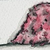 Watercolor Study
