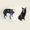 Dog Series