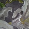 White Lilies