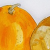 oranges