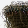 Coiled Nest