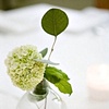 Details: So Simple.So Sweet.