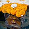 Modern Orange Tablescape Detail
