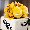 Damask Cake