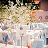 White Dendrobium Orchid Spray Centerpiece 