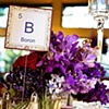 Red and Purple Low Cube Arrangement