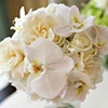 Phalaenopsis and Gardenia Bridal Bouquet