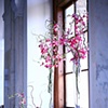 Bay Window Decor