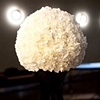 Modern Design - Carnation Pomander