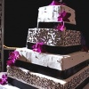 Magenta Dendrobium Orchid Cake Cascade