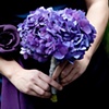 Purple Hydrangea Bridesmaid Posey