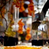 Modern Orange Tablescape Detail