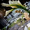 City Chic Tablescape Detail