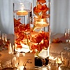 Cluster of Submerged Cymbidium Orchids