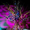 Modern Design - Peacock Tablescape