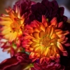 Dahlia Bridal Bouquet